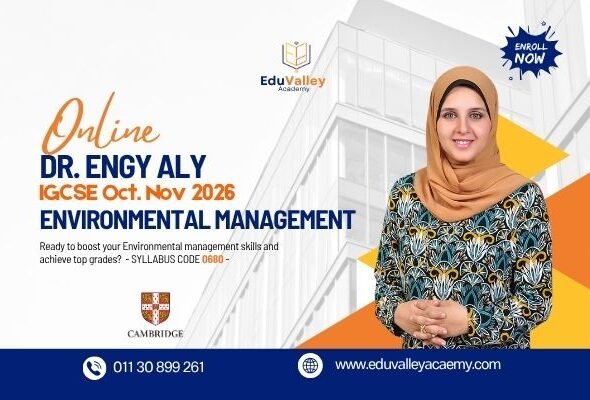 ENGY ALI